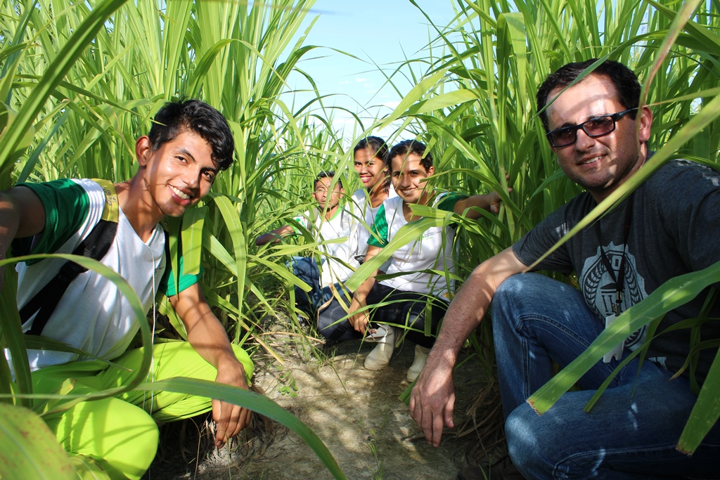 BIOMASSA - Pesquisas no Campus Amajari buscam alternativa energética em Roraima