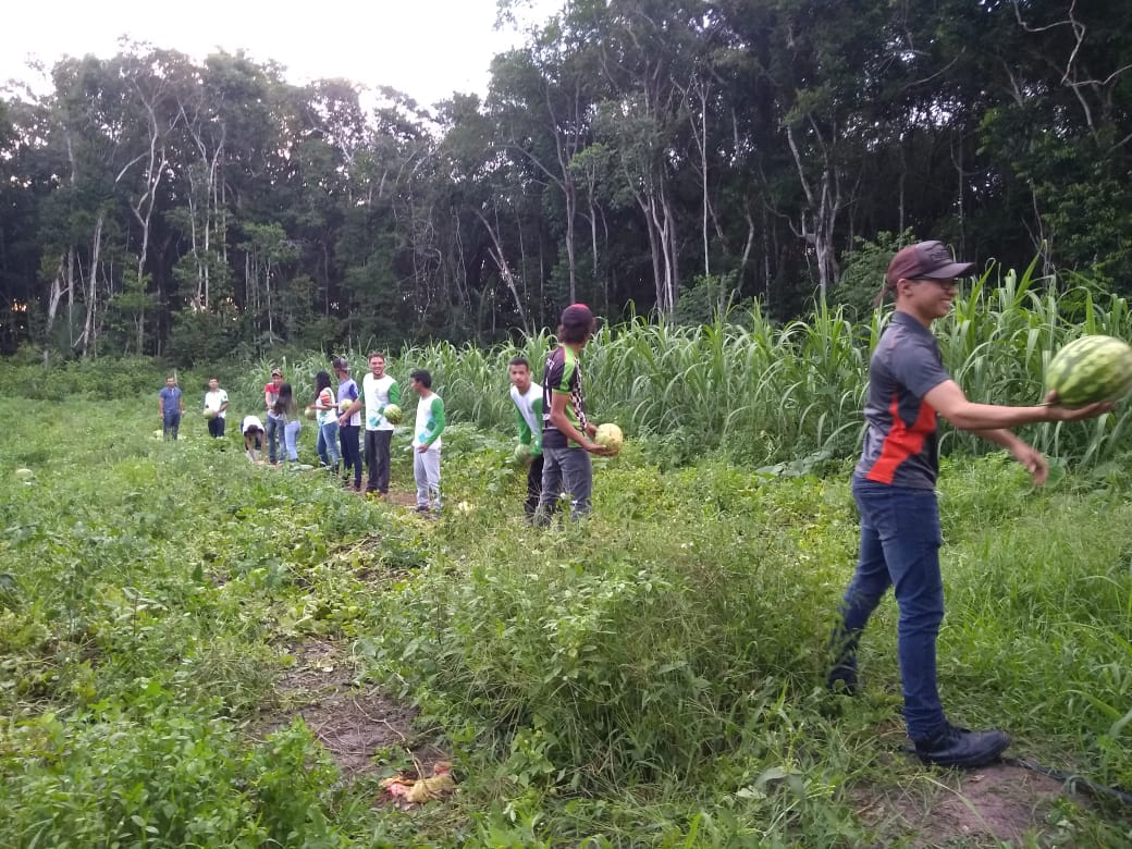 Lançado edital para contratação de profissionais para atuarem em curso de pós-graduação em Agroecologia 