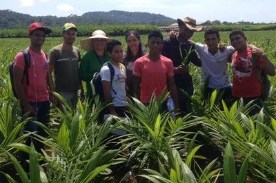 Alunos do curso de Alternância durante visita técnica em área de cultivo de Dendê no município de Baliza (2014)